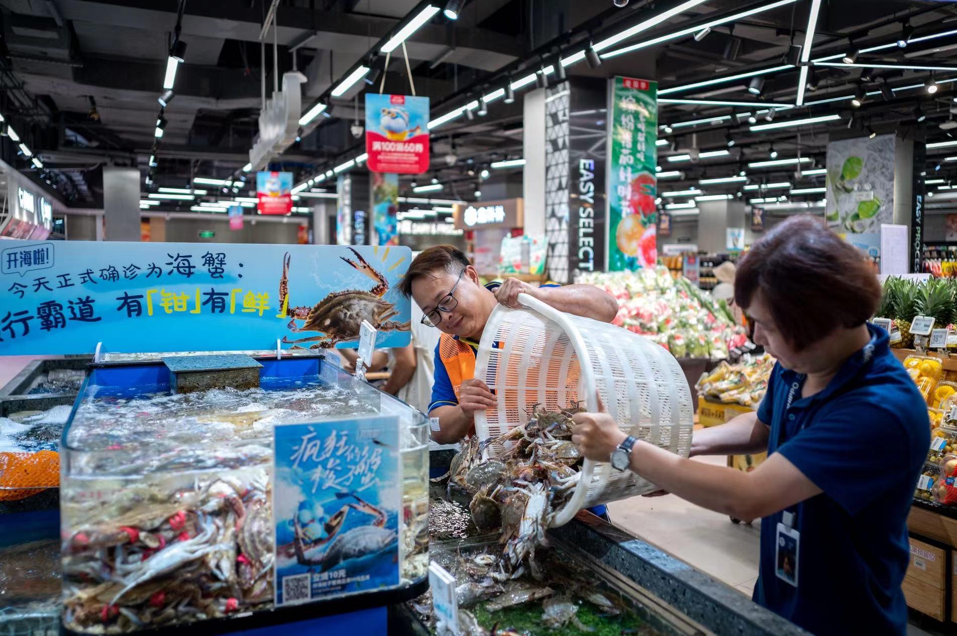 母蟹最新價(jià)格，一場溫馨的蟹宴記憶之旅