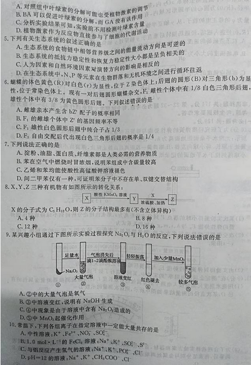 最新概念答案，擁抱變化，自信成就夢想之旅