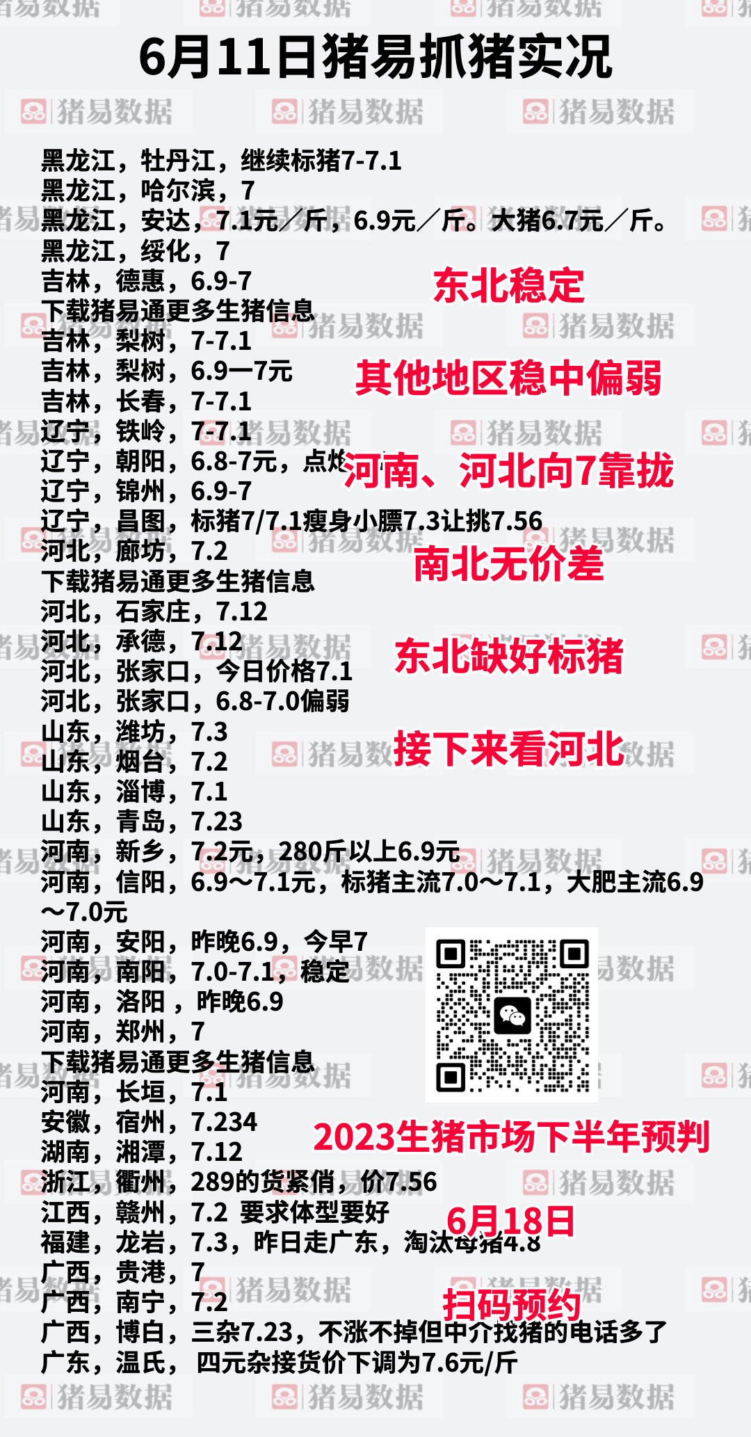 沙灘最新豬價(jià)行情與尋找內(nèi)心平靜的自然美景之旅