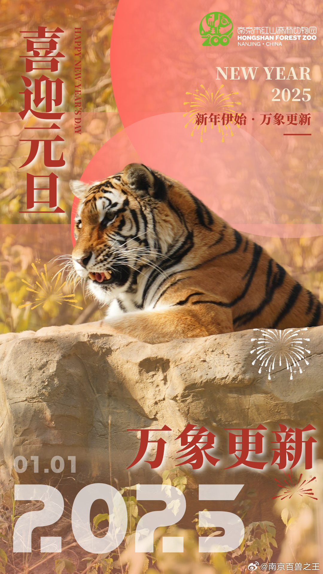 最新年伊始，完成某項任務(wù)或?qū)W習某種技能的詳細步驟指南