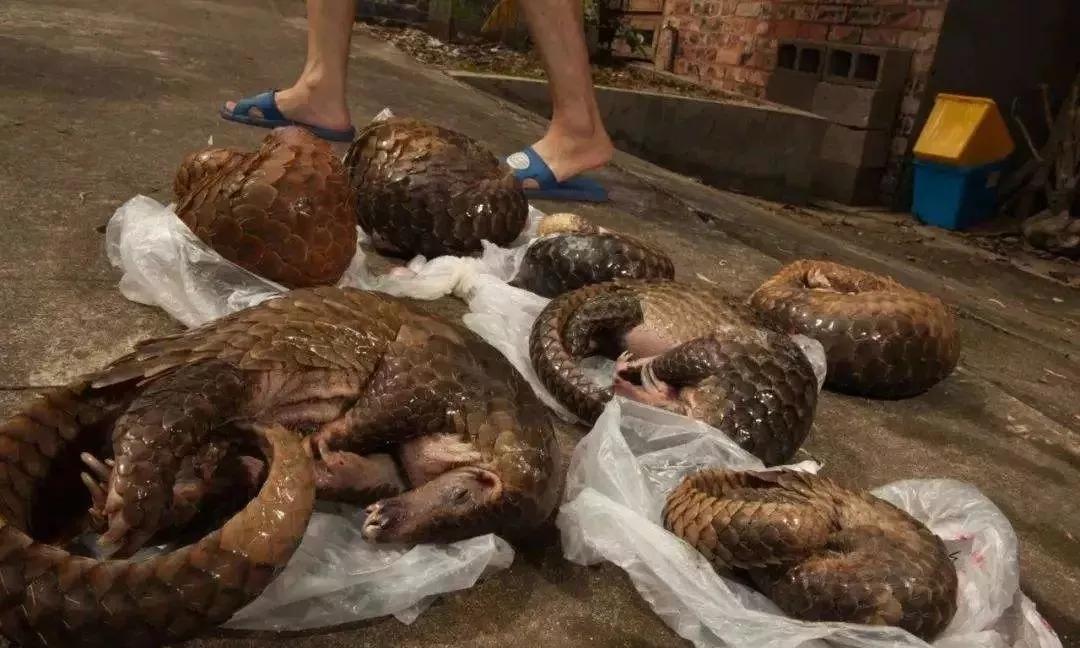 管軼最新證據(jù)揭示，變化是成長的催化劑，學(xué)習(xí)自信之源