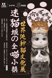 喵咪最新域，溫馨有趣的日常故事分享