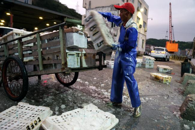 直擊臺(tái)風(fēng)中的漁船動(dòng)態(tài)，最新臺(tái)風(fēng)漁船視頻更新