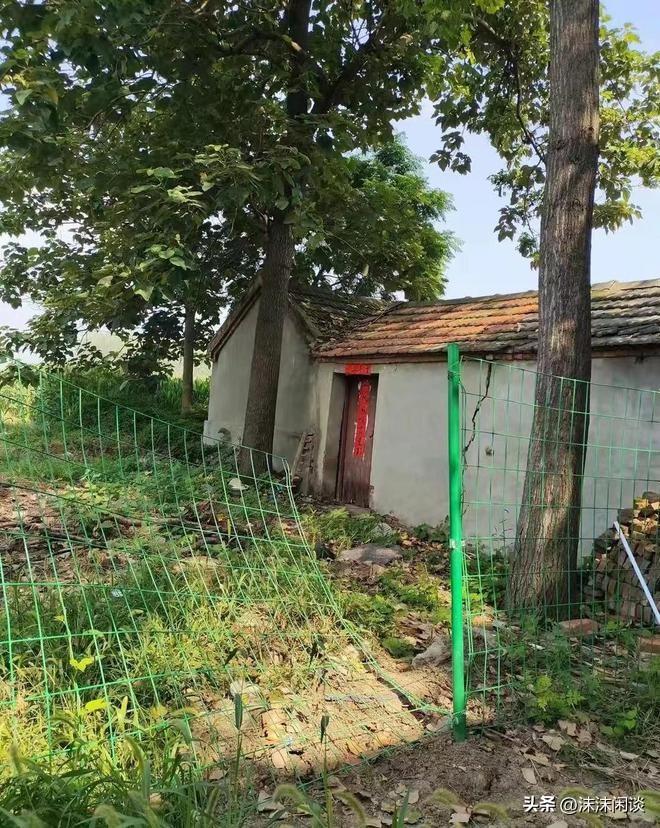 網(wǎng)曝門最新動(dòng)態(tài)，任務(wù)完成與技能學(xué)習(xí)指南全攻略