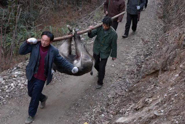 陜西最新傳染病情況分析與報(bào)告