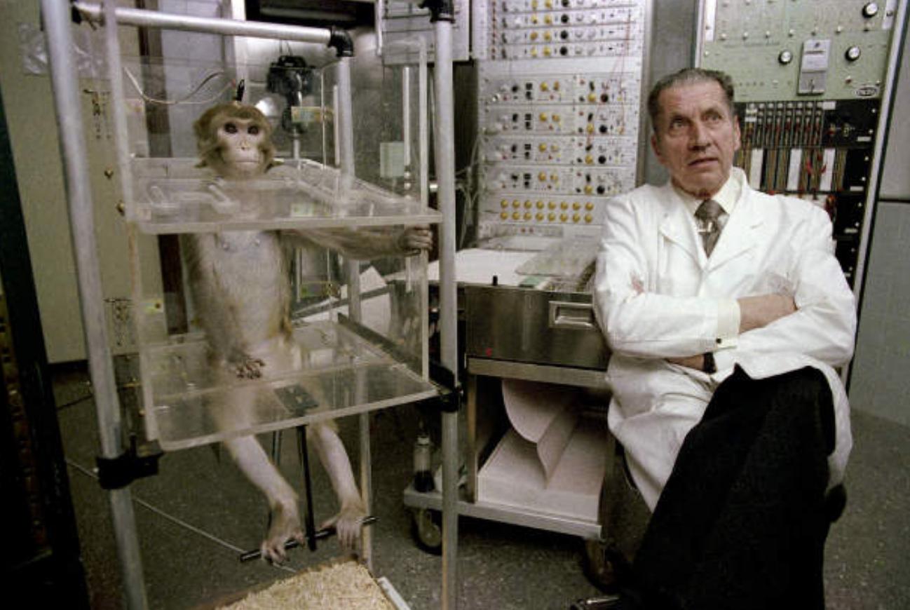 科學(xué)實驗最新進(jìn)展，探索與創(chuàng)新觀點的碰撞與交融