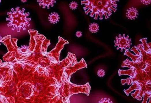 感染最新毒株的奇遇歷程