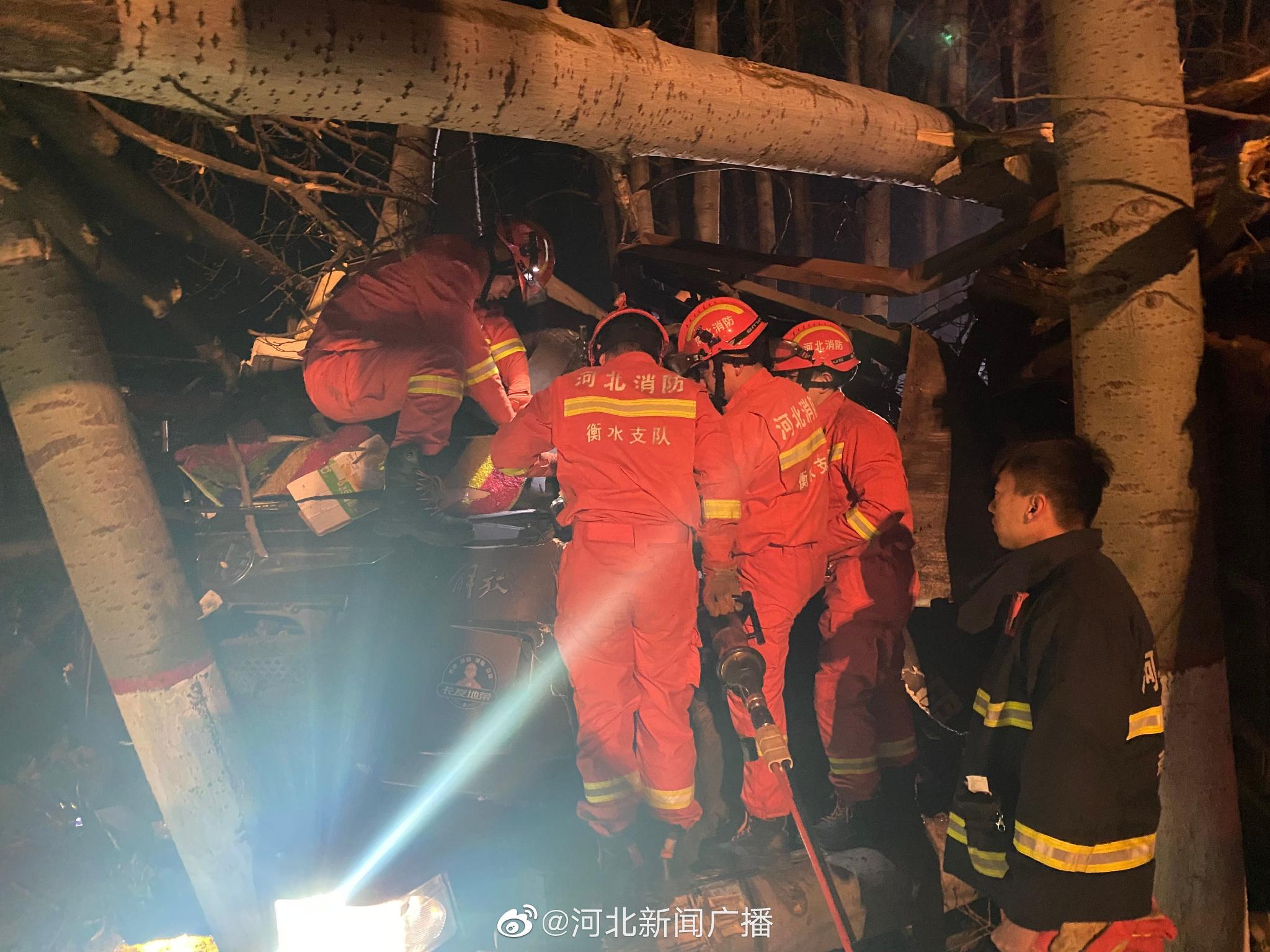 衡水最新事故新聞報道