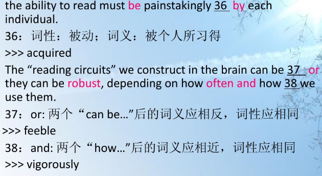 最新專四填空要點解析與探討指南