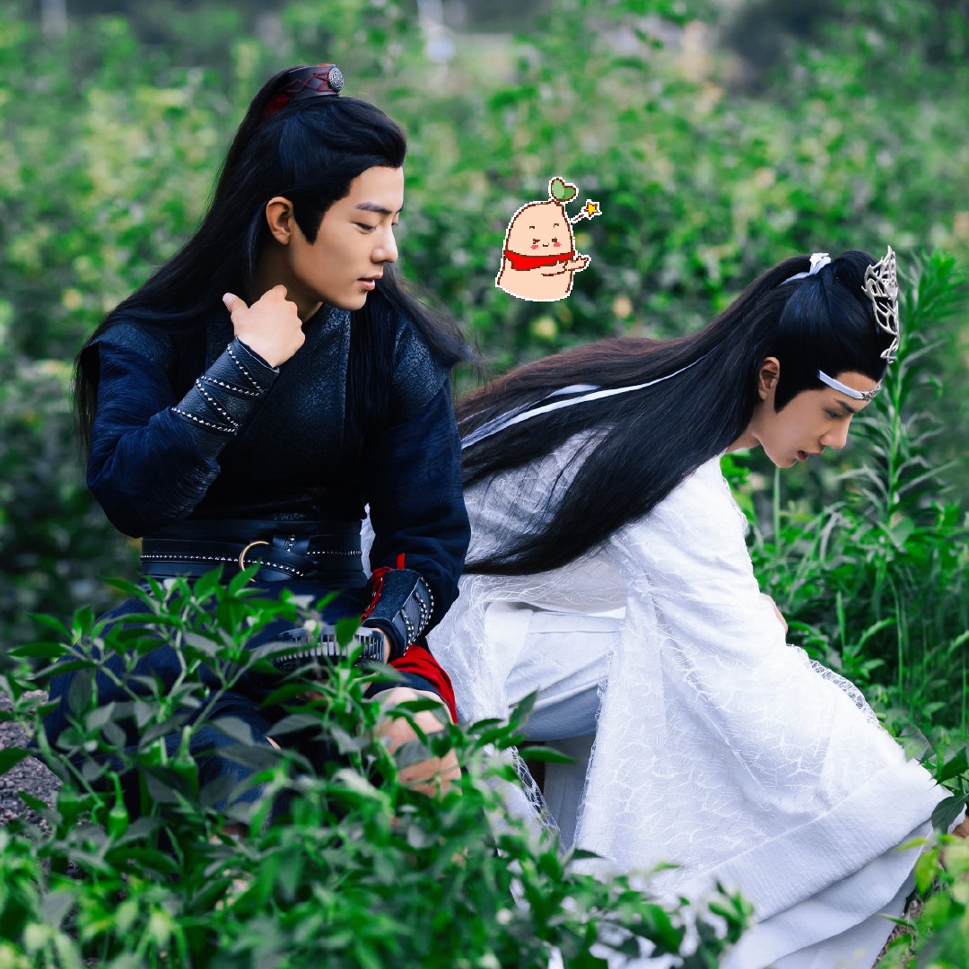 陳情令最新花，花海中的溫馨奇遇