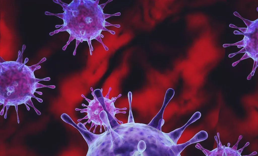 漁具配件 第40頁