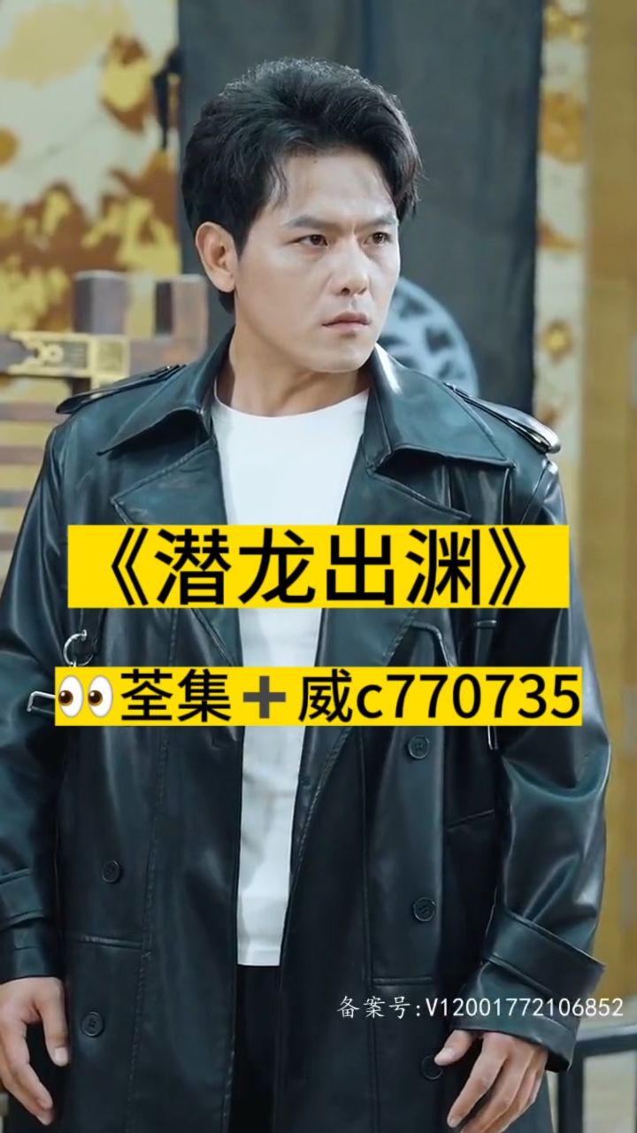 淘龍最新視頻，日常趣事與愛(ài)之陪伴