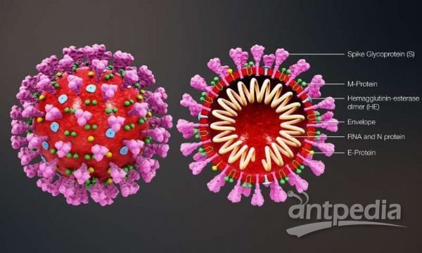 最新新冠心，變化中的學習，自信與成就的力量之路