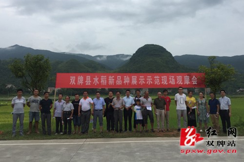 雙牌縣新時代新面貌，探尋最新發(fā)展與變化