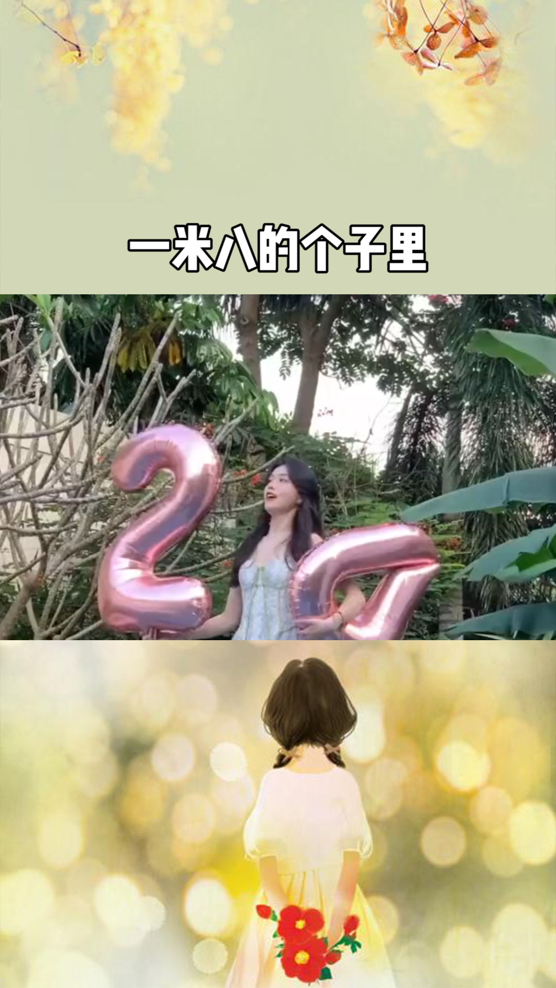 探尋奇幻世界的冒險(xiǎn)與奧秘，公主一米八最新章節(jié)