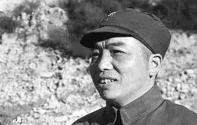 虎將秦衛(wèi)江的最新動態(tài)與日常趣事，溫情紐帶揭秘