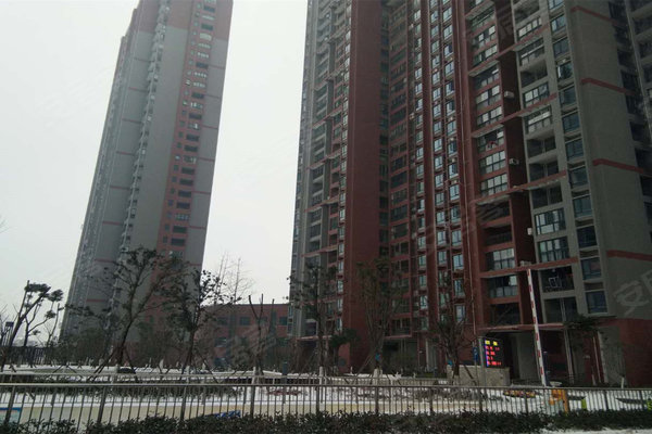 健龍果嶺公元最新動(dòng)態(tài)更新，最新消息匯總