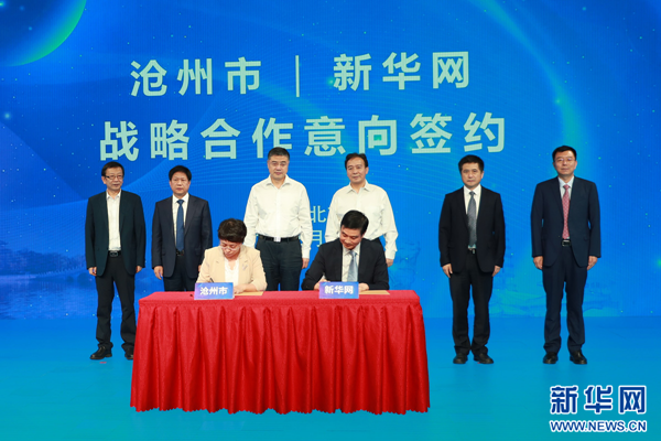 滄州新聞網(wǎng)，城市溫馨日常與深厚友情的最新報道