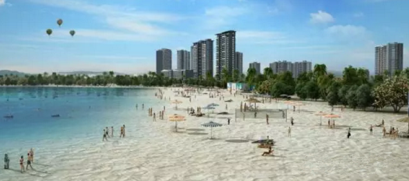 大亞灣羅健強最新動態(tài)，技能提升與任務(wù)完成指南