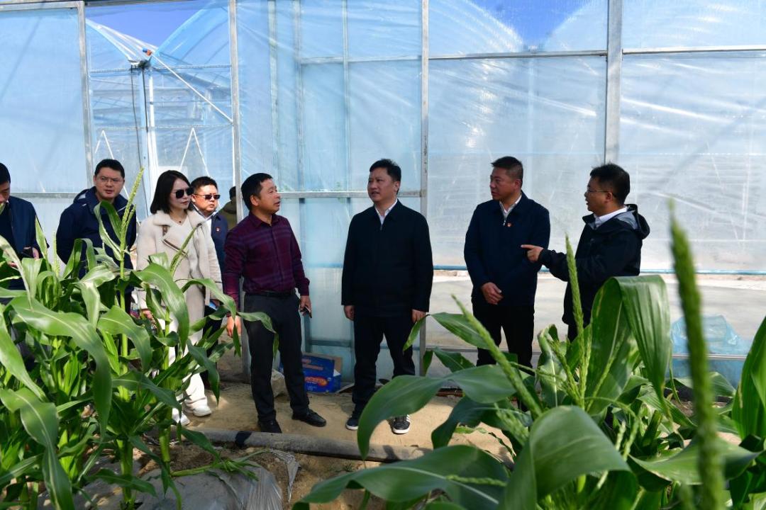 淮南山南一號(hào)最新動(dòng)態(tài)及觀點(diǎn)闡述分析