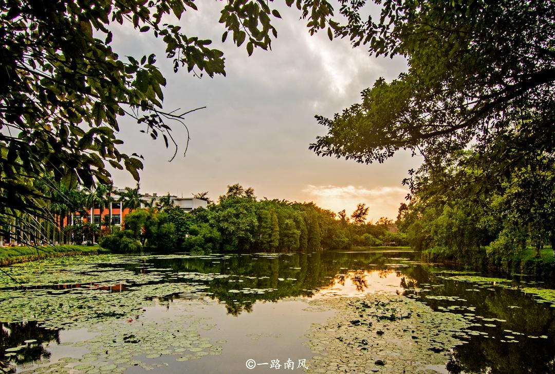 華南海域最新天氣報(bào)告，探索自然美景之旅，尋求內(nèi)心寧?kù)o與平和的旅程