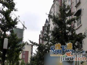 信宜玉龍山莊最新房價(jià)動態(tài)，機(jī)遇與自我超越的旅程