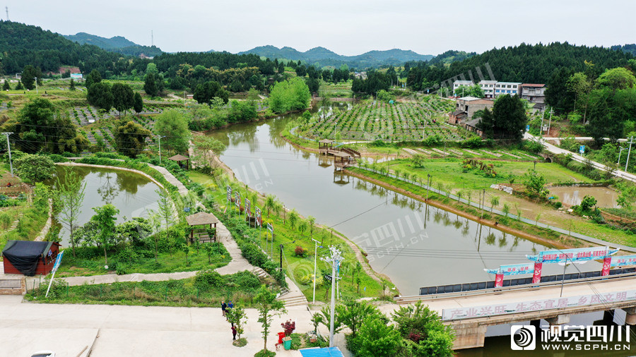 南充順慶蘆溪最新動態(tài)更新