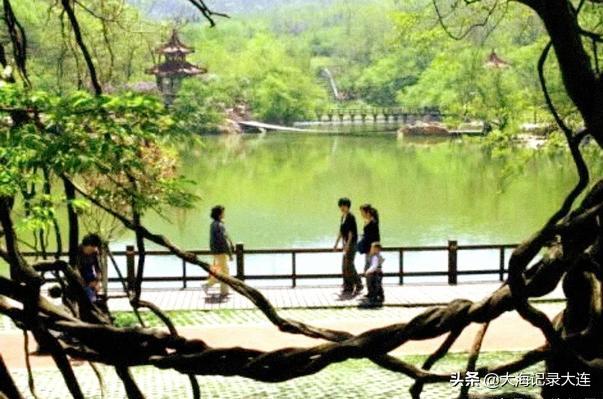 大連白云雁水最新消息概覽，最新動態(tài)與進展速覽