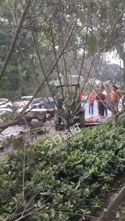 桃江竹海車禍最新進(jìn)展，背后的力量與希望之光