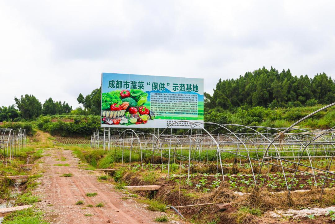 簡陽市江源鎮(zhèn)未來藍圖展望，最新規(guī)劃與未來發(fā)展