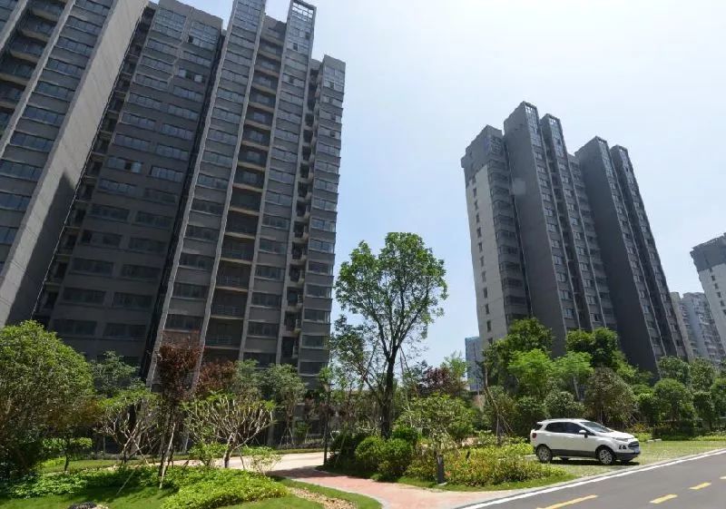 福州臚雷新城最新動態(tài)，探索自然美景，尋覓內心平靜之旅