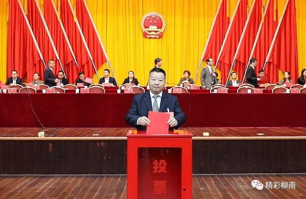 柳州市柳南區(qū)區(qū)長最新動態(tài)，小巷深處的獨特風味探索