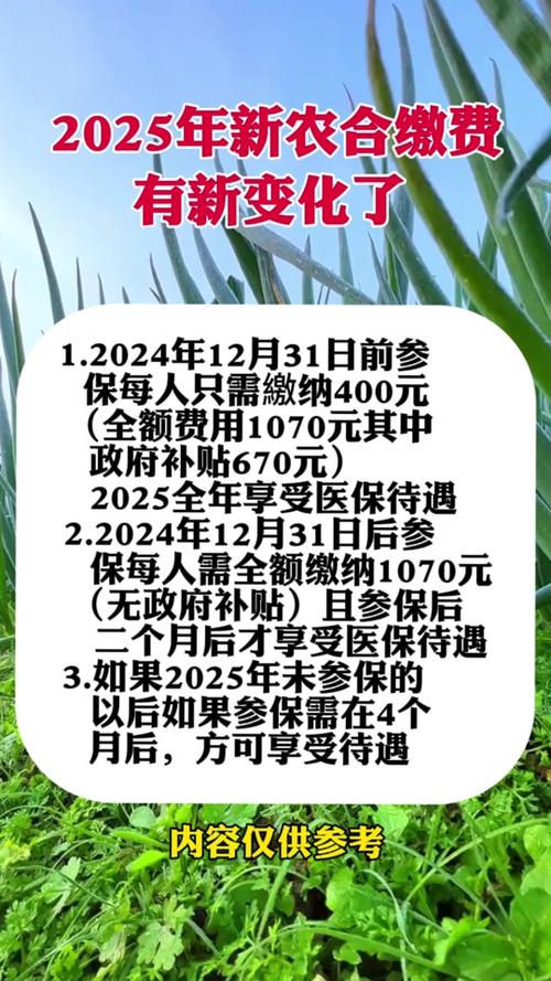 新農(nóng)合最新政策2025，背景、影響與地位分析