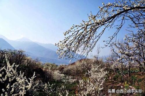 漢源九襄鎮(zhèn)最新規(guī)劃圖揭秘，藍(lán)圖下的繁榮未來