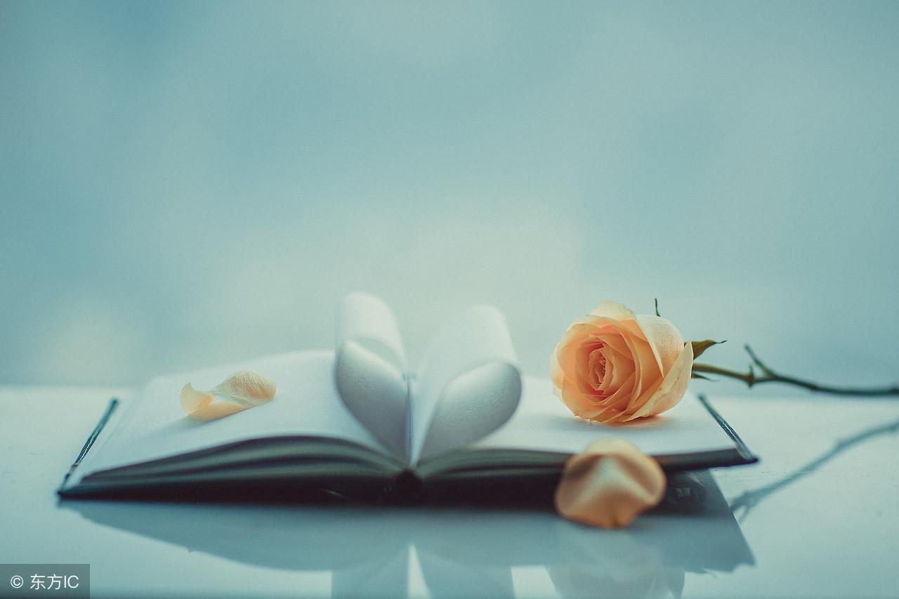 執(zhí)愛(ài)成灰最新章節(jié)列表及內(nèi)容概述