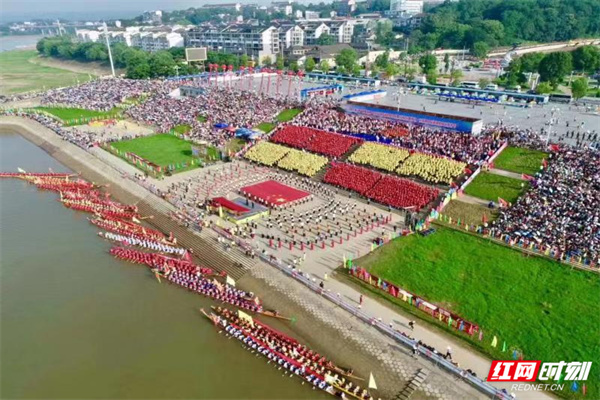 沅陵紅網(wǎng)10.31最新消息解讀指南，從初學(xué)者到進(jìn)階用戶的全方位指南