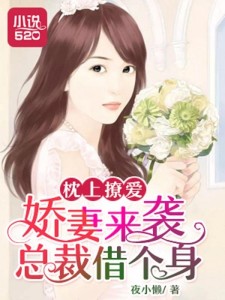 枕上撩妻有道，心動不已的浪漫之旅最新章節(jié)