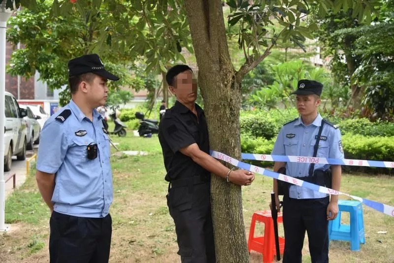 北海打傳辦最新動(dòng)態(tài)及其影響分析，一種觀點(diǎn)的視角