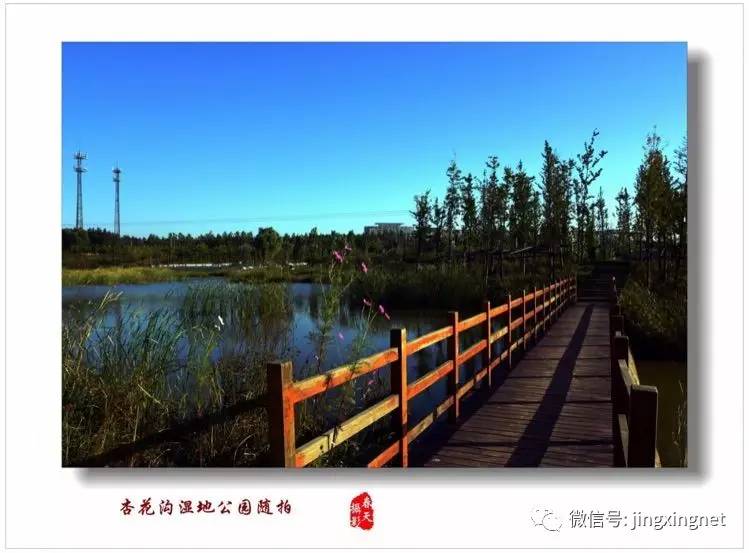 涼灣濕地公園奇妙一日游，最新消息揭秘探險之旅！