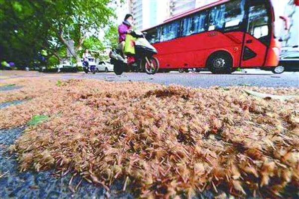 南京招聘網(wǎng)最新招聘信息上線，你的職業(yè)新起點(diǎn)！??南京招聘網(wǎng)全新上線58版?