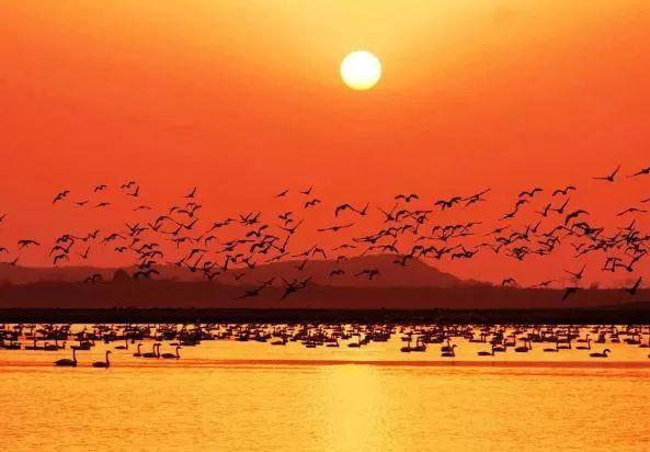 巢湖四海花園，科技智慧生活與房?jī)r(jià)新篇章開啟，最新房?jī)r(jià)信息一覽