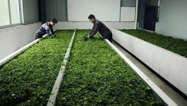 茶碾公路最新進(jìn)展詳解，入門到精通的全方位指南