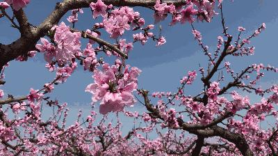 榆中縣新世界最新房價，夢想躍動的起點