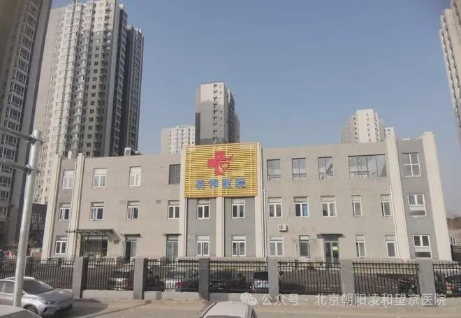 東壩福滿(mǎn)園，小巷特色小店的獨(dú)特魅力與最新消息揭秘