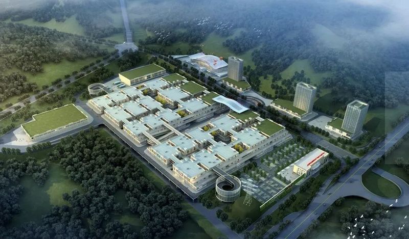 廣元曌城最新進展，溫馨日常故事更新