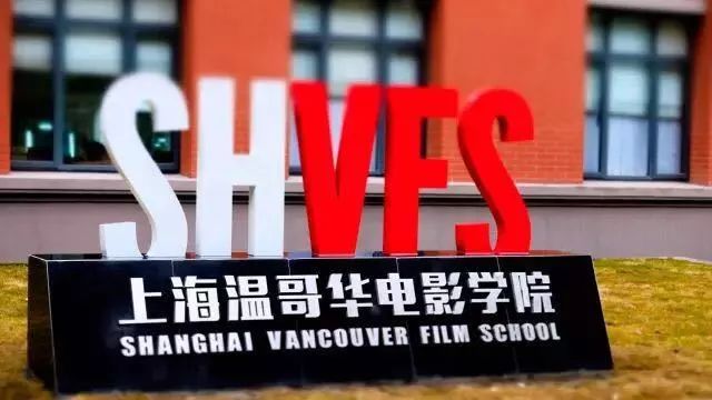 魯泰集團(tuán)最新招聘啟事，職位空缺與職業(yè)發(fā)展機(jī)會(huì)