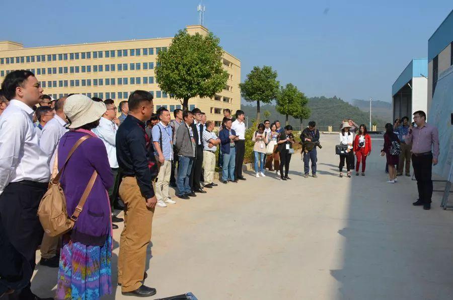 扶綏空港區(qū)最新進展及影響，一種觀點深度解析