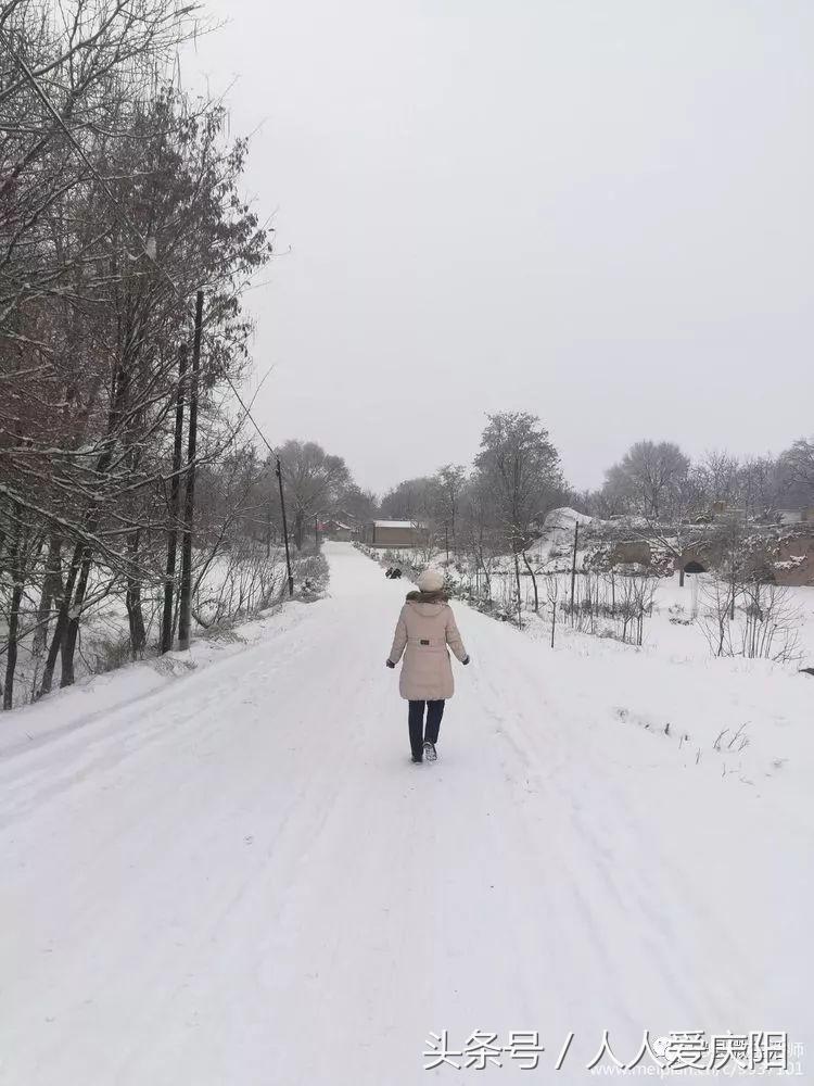 寧縣和盛鎮(zhèn)最新消息概覽，最新動態(tài)與指南