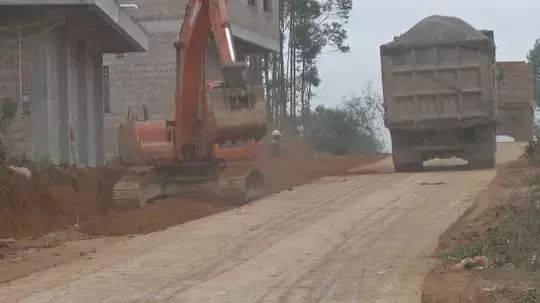 桂平蒙圩新聞最新動態(tài)更新