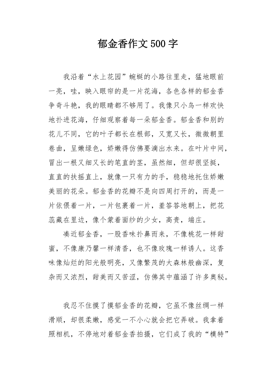 我的郁金香女友最新章節(jié)，情感與成長的交織旅程